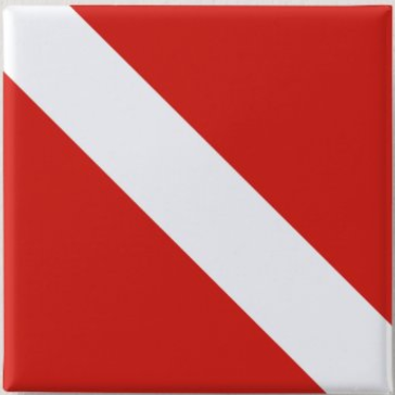 Scuba flag 